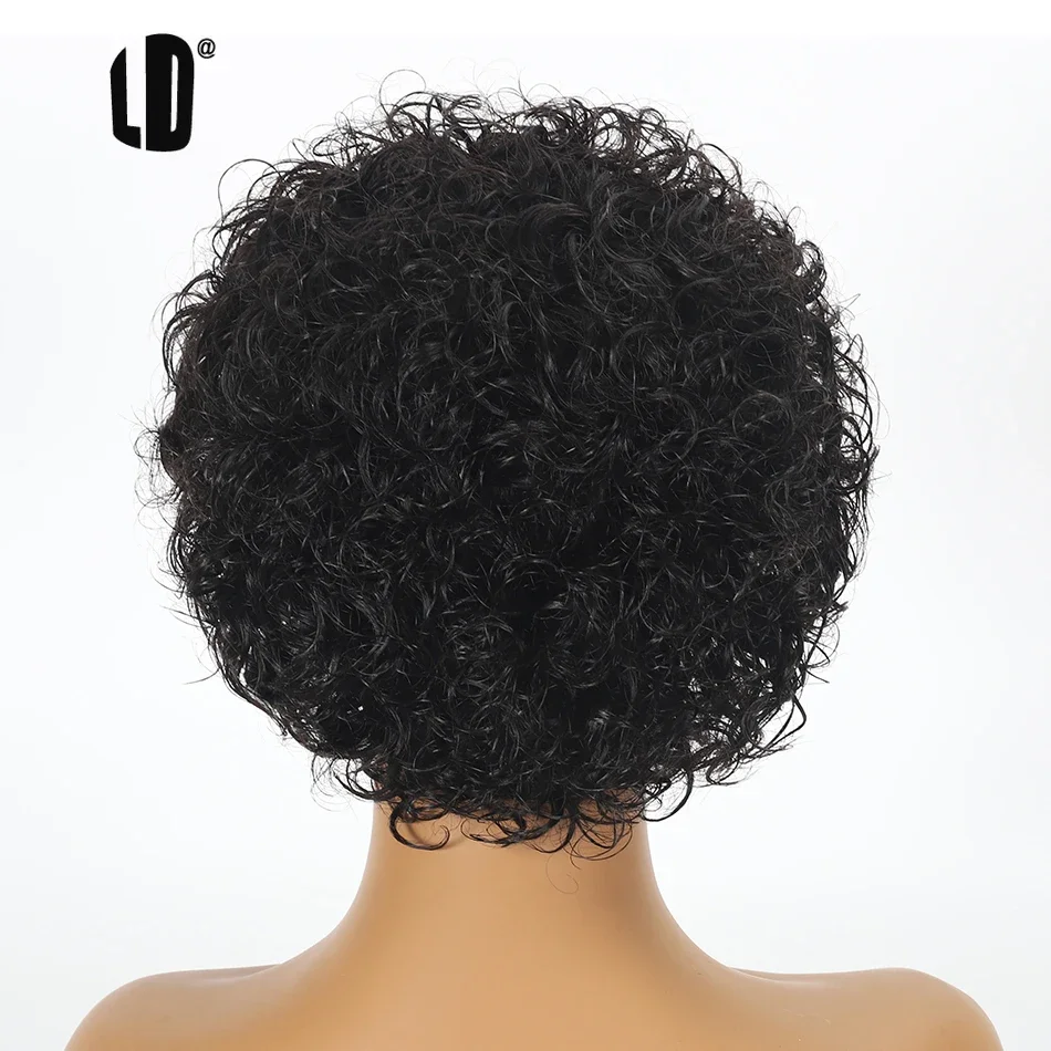 픽시컷 가발 99J 컬러 레이스 가발 스프링 컬 숏밥  - Short Pixie Cut Wig Human Hair Cheap 리뷰 및 가격